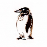 Пингвин 1